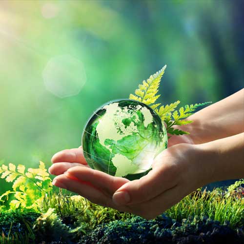 Environment & Recycling