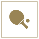 Icon Indoor Game